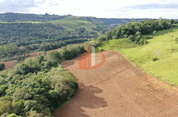 FAZENDA PRÓXIMA A PATO BRANCO PARA VENDA - Foto 22