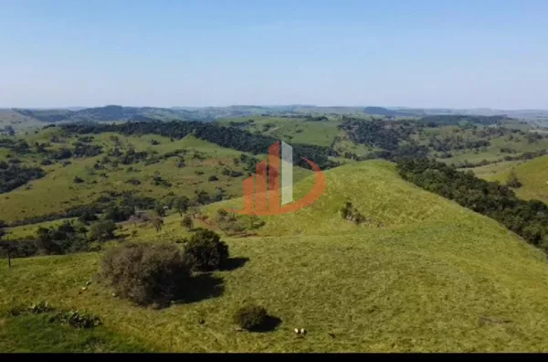FAZENDA PARA ARRENDAMENTO DISPONÍVEL, 5 ANOS DE CONTRATO - Foto 4