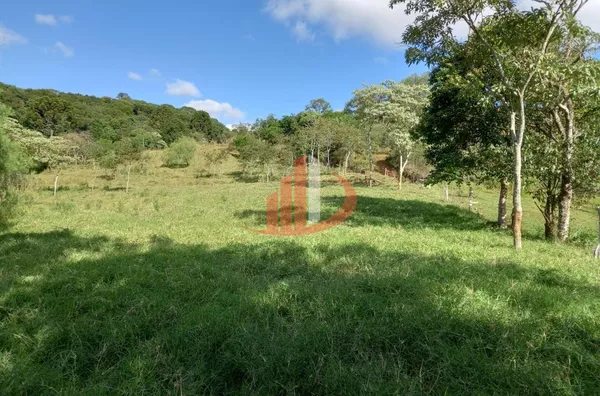 CHÁCARA COM 2,5 ALQUEIRES À VENDA EM VITORINO/PR - Foto 47
