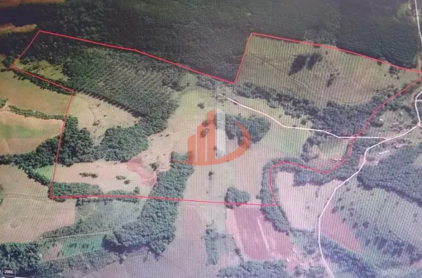 FAZENDA COM 24 ALQUEIRES EM PATO BRANCO/PR - Foto 18