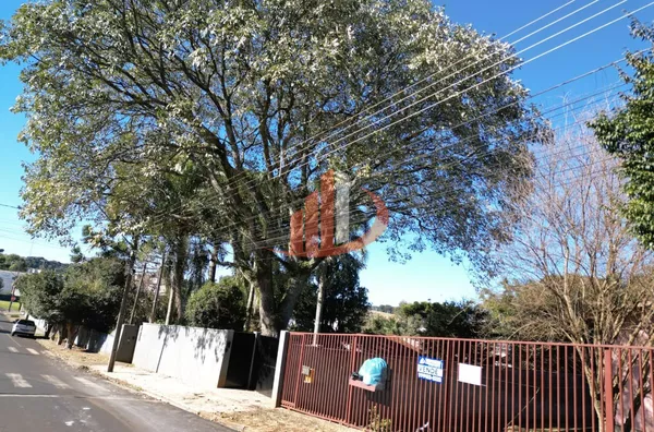 TERRENO COM 1481m² À VENDA EM ÁREA NOBRE DE PATO BRANCO/PR - Foto 8
