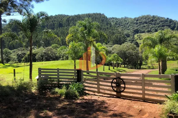 FAZENDA COM 33 ALQUEIRES NO INTERIOR DO PARANÁ - Foto 17