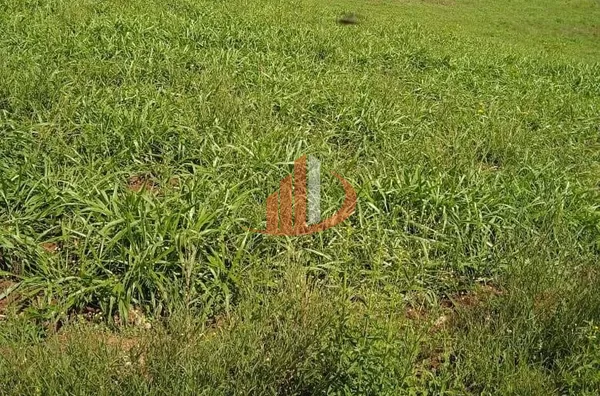 ARRENDAMENTO DE FAZENDA COM 323 ALQUEIRES EM SANTA CATARINA - Foto 8
