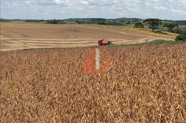 FAZENDA EM PALMAS NO PARANÁ - Foto 7