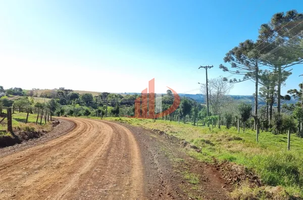 CHÁCARA COM 5 HECTARES PRÓXIMO A PATO BRANCO - Foto 4