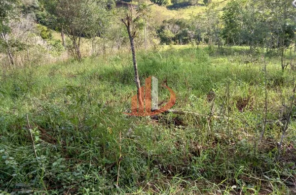 CHÁCARA COM 2,5 ALQUEIRES À VENDA EM VITORINO/PR - Foto 37