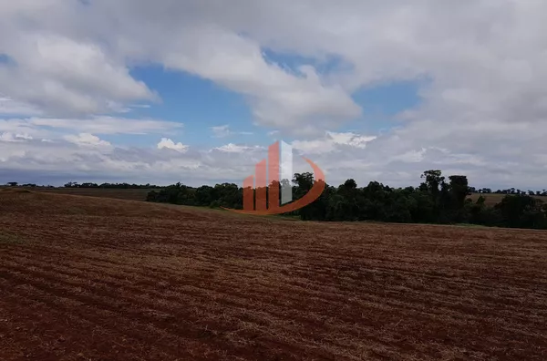 FAZENDA MODELO — OESTE DO PARANÁ - Foto 13