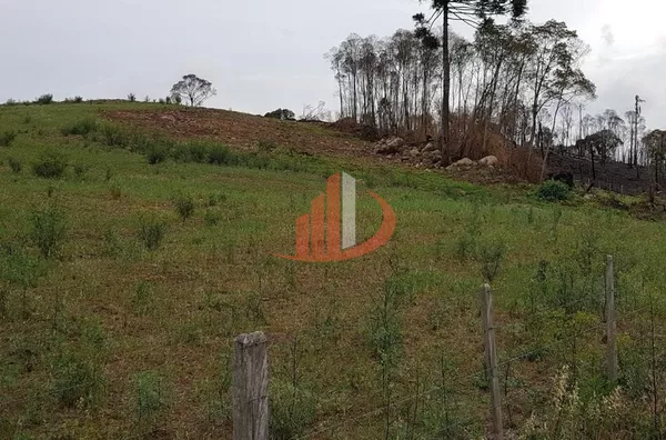 FAZENDA COM 203,5 ALQUEIRES À VENDA NO SUDOESTE DO PARANÁ. - Foto 3
