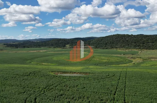 ARRENDAMENTO AGRÍCOLA DE ATÉ 200 ALQUEIRES NO SUDOESTE DO PARANÁ! - Foto 6