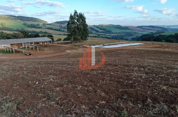FAZENDA COM 16 ALQUEIRES EM MARMELEIRO/PR - Foto 12