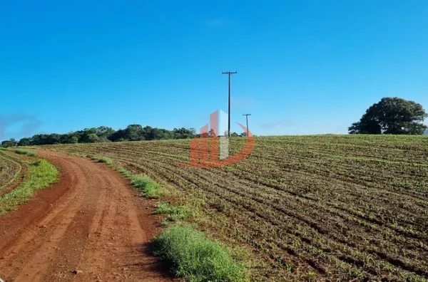 FAZENDA PRA VENDA NO SUDOESTE DO PARANÁ - Foto 6