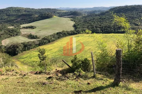 FAZENDA 211,19 ALQUEIRES EM LARANJEIRAS DO SUL/PR - Foto 14