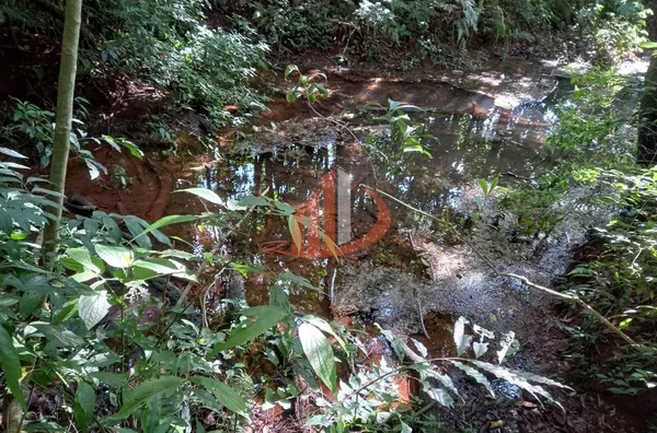 CHÁCARA COM 2,5 ALQUEIRES À VENDA EM VITORINO/PR - Foto 24