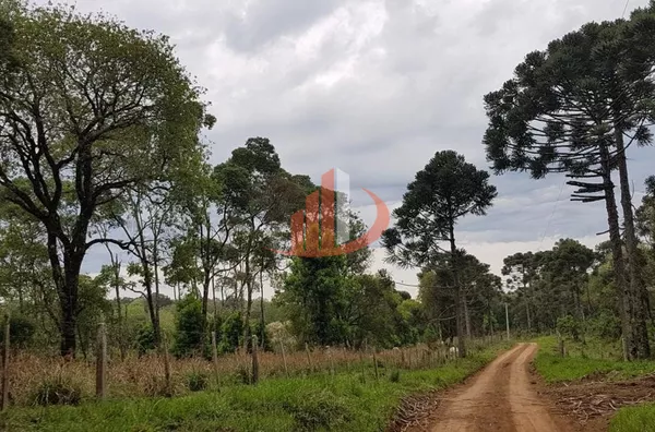 FAZENDA COM 203,5 ALQUEIRES À VENDA NO SUDOESTE DO PARANÁ. - Foto 12