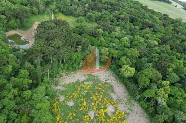 CHÁCARA COM 5 ALQUEIRES EM VITORINO/PR - Foto 7