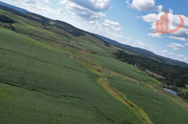 ARRENDAMENTO AGRÍCOLA DE ATÉ 200 ALQUEIRES NO SUDOESTE DO PARANÁ!