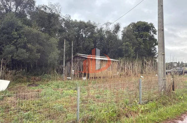 CHÁCARA COM 3000m² EM MARIÓPOLIS/PR - Foto 4