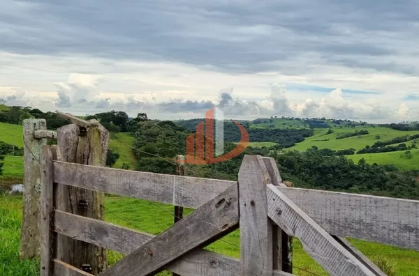 FAZENDA COM DUPLA APTIDÃO, 210 ALQUEIRES, REGIÃO CENTRO SUL DO PARANÁ - Foto 4