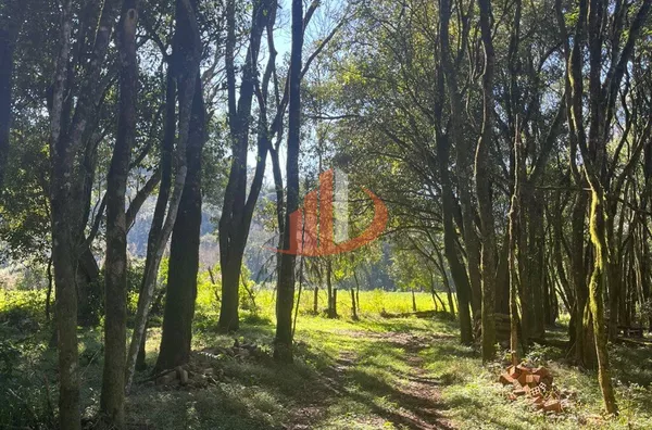 CHÁCARAS À VENDA PRÓXIMAS A PATO BRANCO/PR