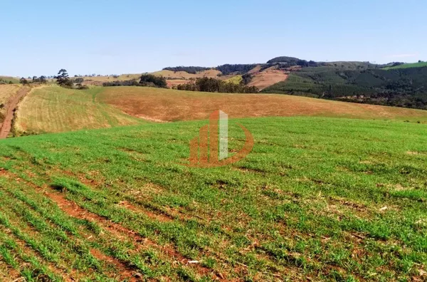 VENDE-SE UMA BELÍSSIMA ÁREA DE TERRA EM NOVA LARANJEIRAS! - Foto 15