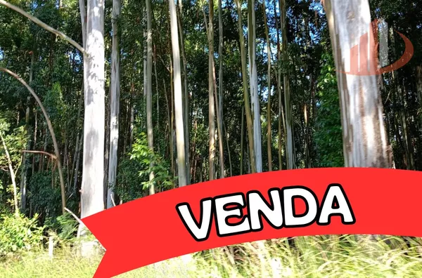 FAZENDA COM 189 ALQUEIRES A VENDA