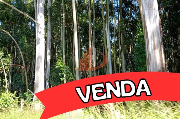 FAZENDA COM 189 ALQUEIRES A VENDA