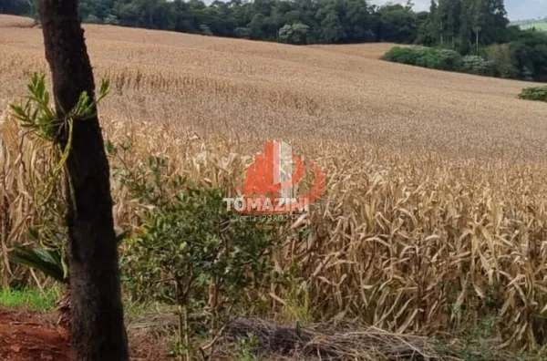 [fazenda] para venda, - Selecione - Bairro, Vitorino - Foto 9