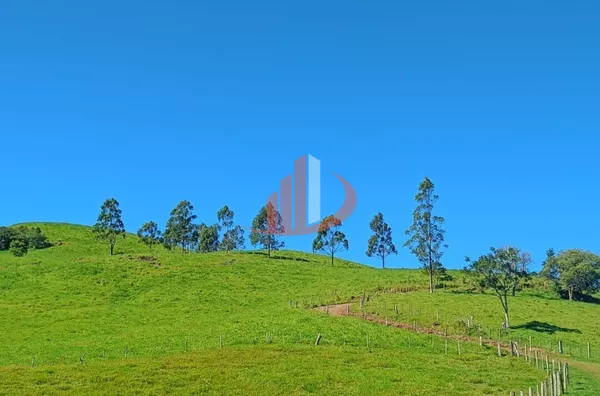 VENDE-SE FAZENDA A 24KM DE NOVA LARANJEIRAS! - Foto 9