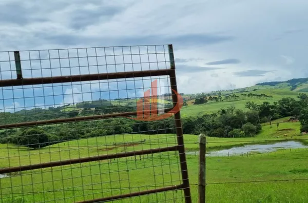 FAZENDA COM DUPLA APTIDÃO, 210 ALQUEIRES, REGIÃO CENTRO SUL DO PARANÁ - Foto 20