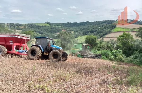 CHÁCARA PARA VENDA EM PATO BRANCO - 65.000m² E INFRAESTRUTURA COMPLETA