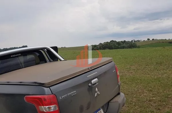 FAZENDA COM 203,5 ALQUEIRES À VENDA NO SUDOESTE DO PARANÁ. - Foto 21