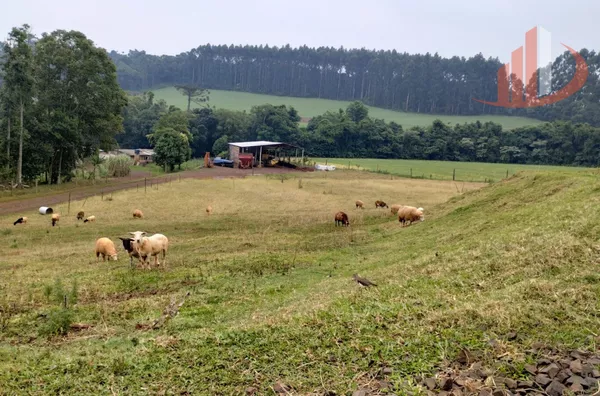VENDE-SE CHÁCARA NA CIDADE DE PATO BRANCO!