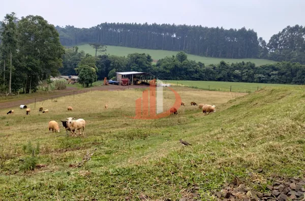 VENDE-SE CHÁCARA NA CIDADE DE PATO BRANCO! - Foto 4