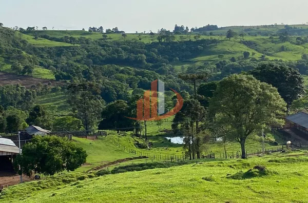 VENDE-SE FAZENDA A 13KM DA CIDADE DE GUARANIAÇU! - Foto 14