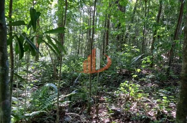 CHÁCARA COM 2,5 ALQUEIRES À VENDA EM VITORINO/PR - Foto 31