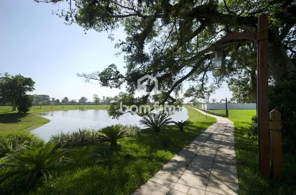 Lago