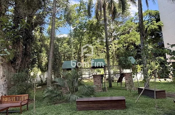 Voo de passaro