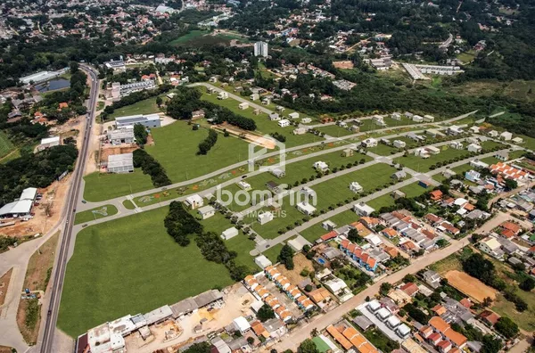 Aerea