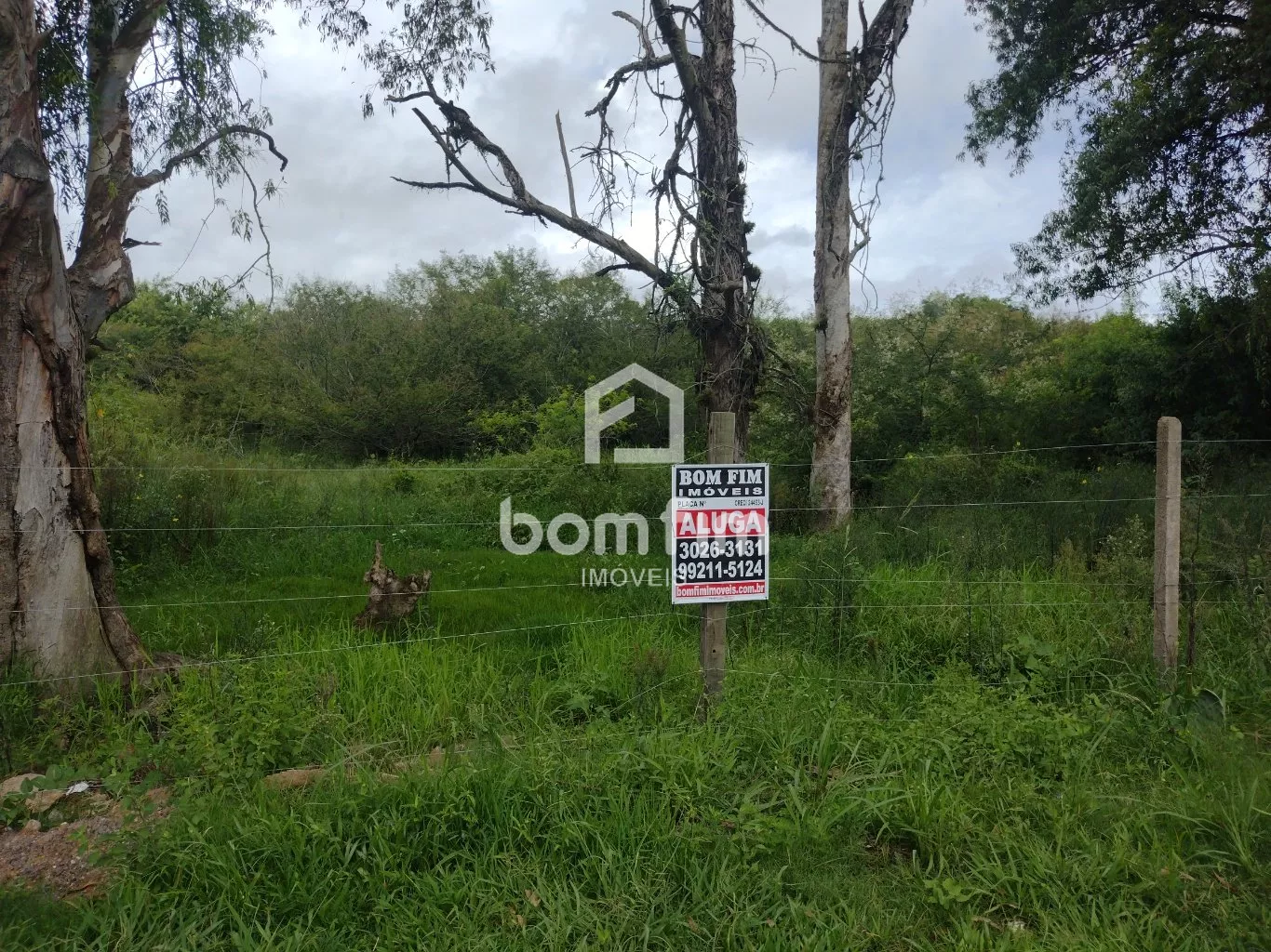 Terreno, 2500 m² - Foto 2