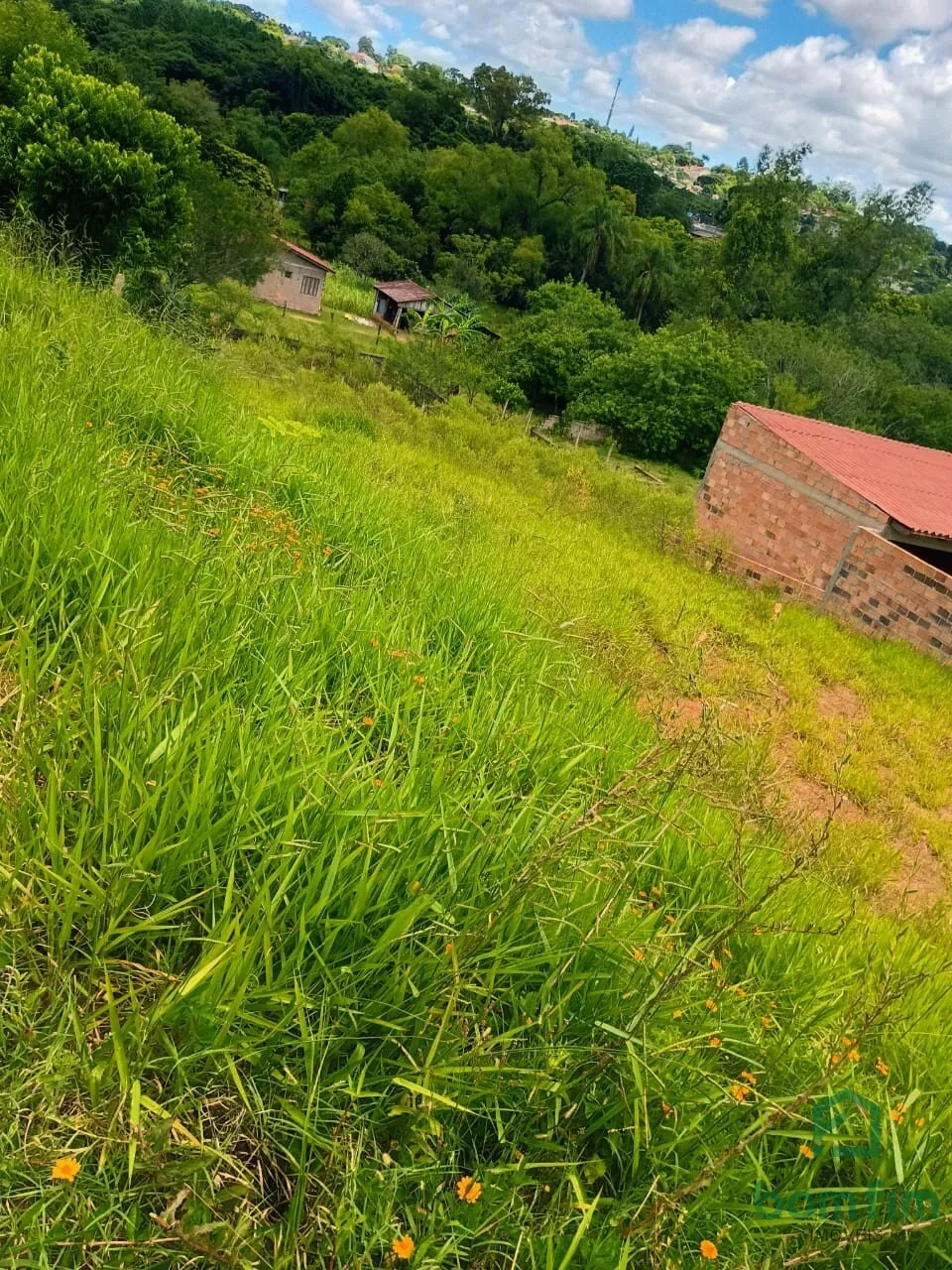 Terreno à venda, 6300m² - Foto 14