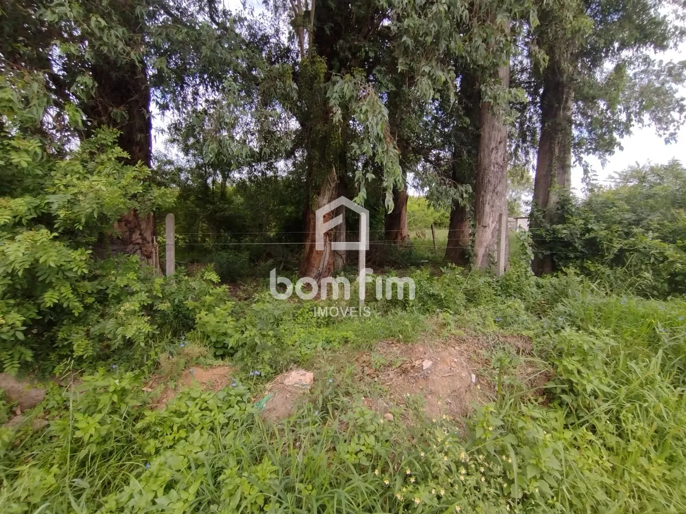 Terreno, 2500 m² - Foto 9