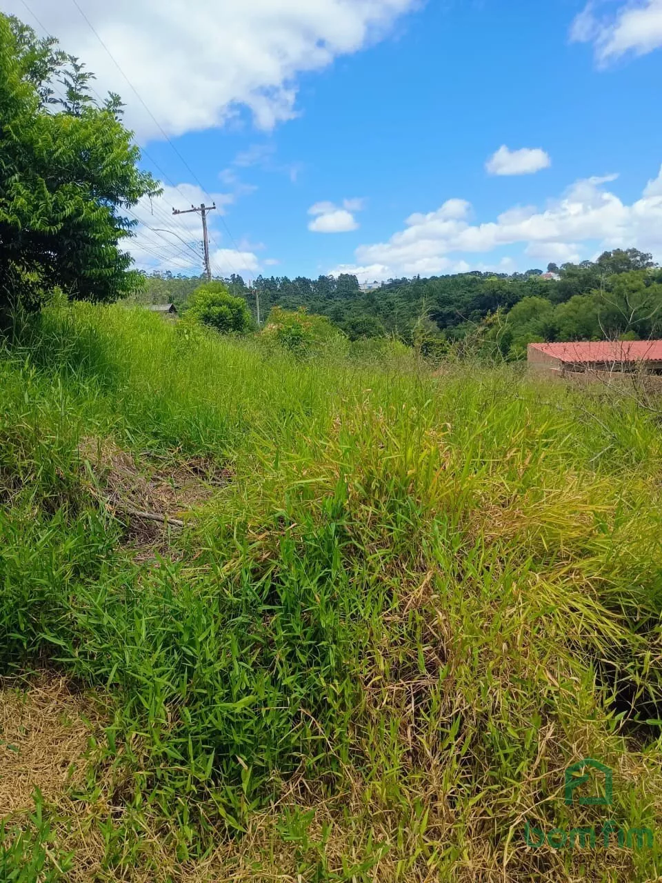 Terreno à venda, 6300m² - Foto 12