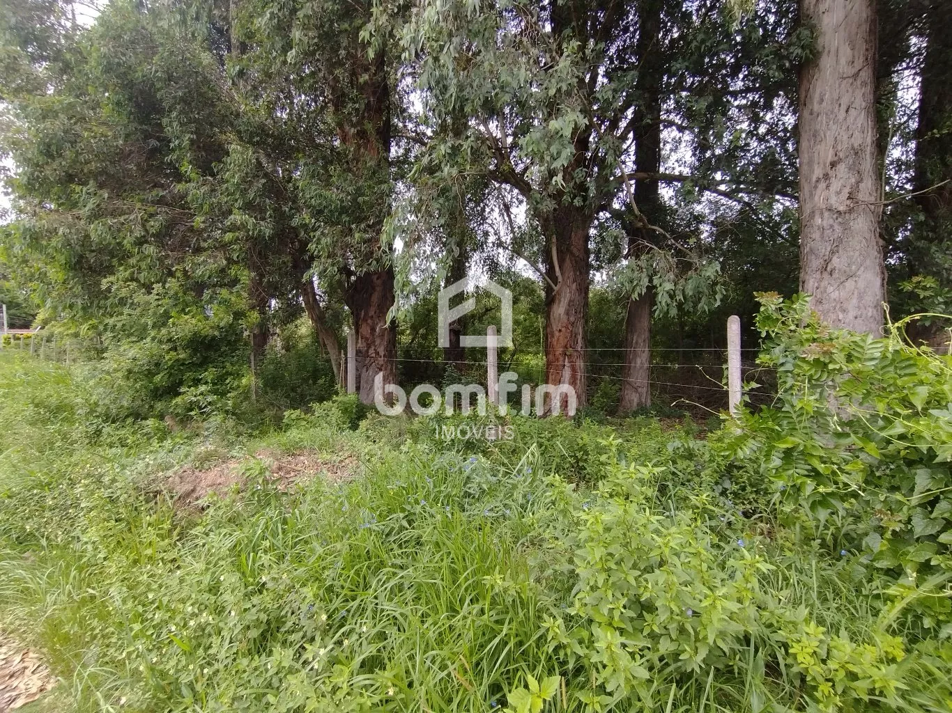 Terreno, 2500 m² - Foto 4