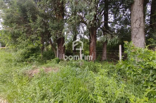 Terreno para aluguel, Ponta Grossa, Porto Alegre/RS. - Foto 4