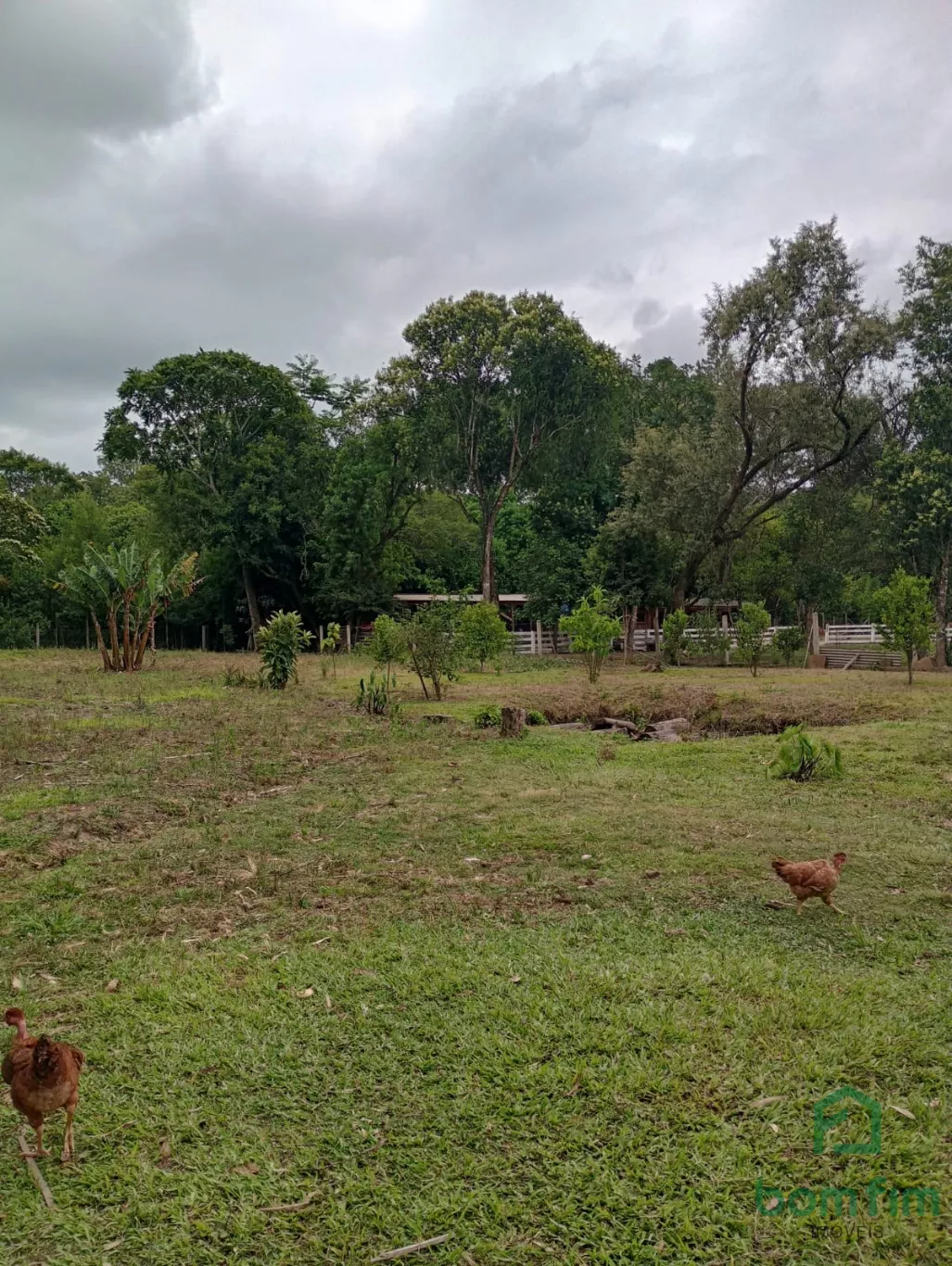 Sobrado à venda com 3 quartos, 2670 - Foto 19