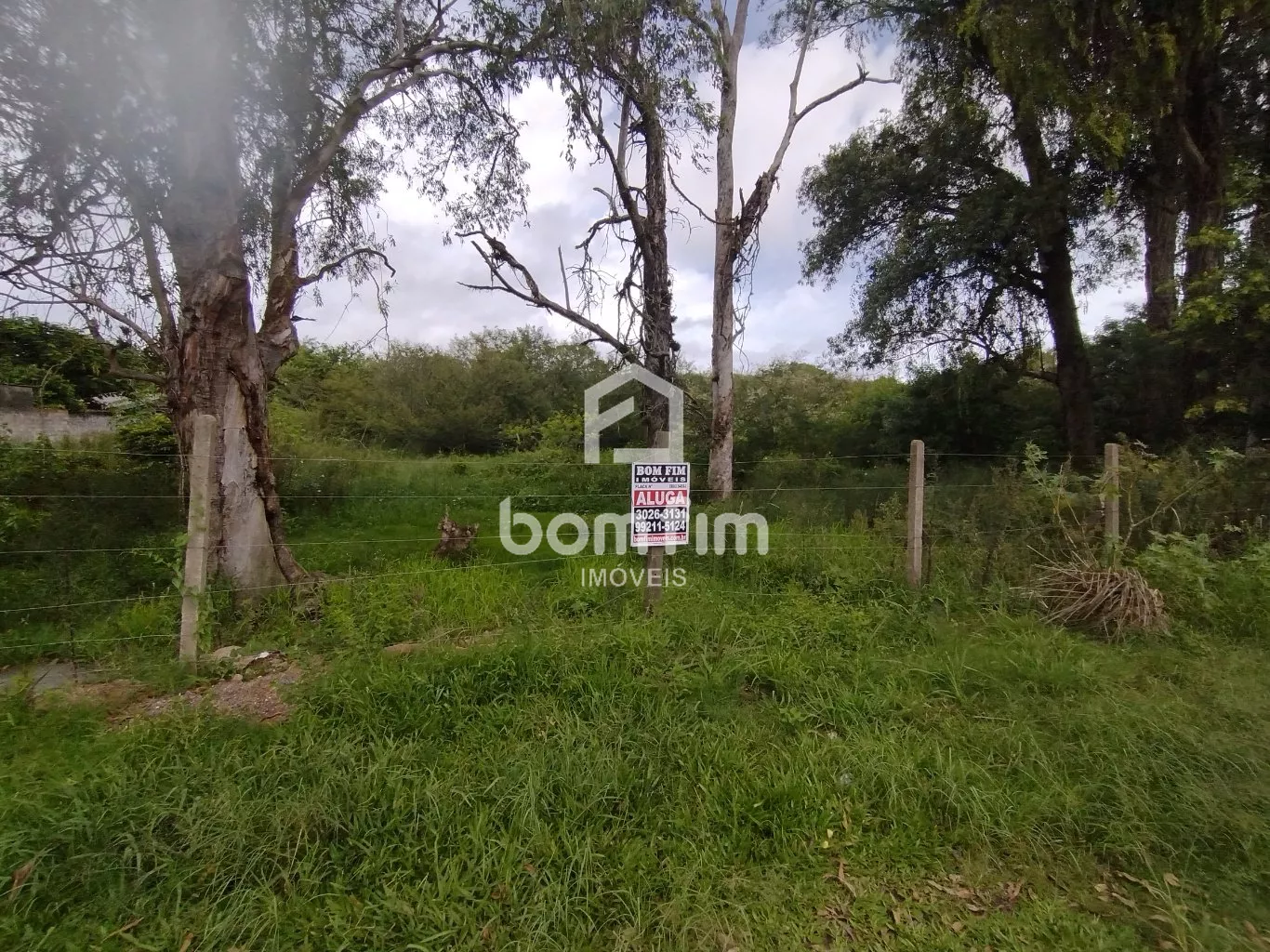 Terreno, 2500 m² - Foto 3