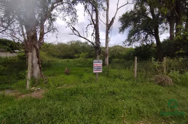 Terreno para aluguel, Ponta Grossa, Porto Alegre/RS.