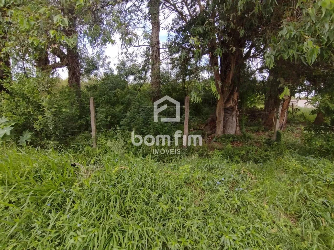 Terreno, 2500 m² - Foto 10
