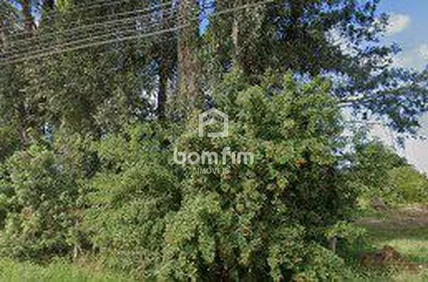 Terreno para aluguel, Ponta Grossa, Porto Alegre/RS. - Foto 18