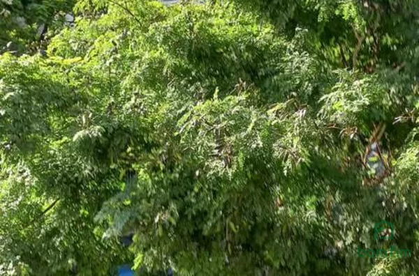 Apto de 2 dorm. para venda Cristal Porto Alegre/RS.